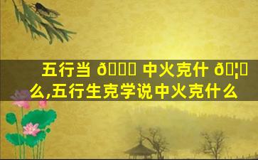 五行当 🐋 中火克什 🦟 么,五行生克学说中火克什么